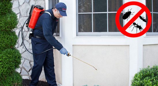 Horasan Tahtakurusu İlaçlama böcek ilaçlama ve haşere kontrolü — ilaclama-tr.com